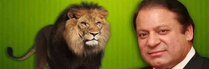 INAM_PML_N's profile banner image