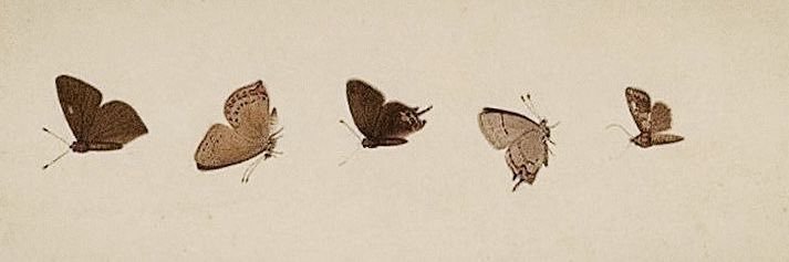 S2Xin1218 banner