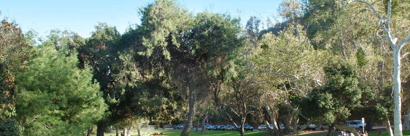 lesliegoodbar's profile banner image