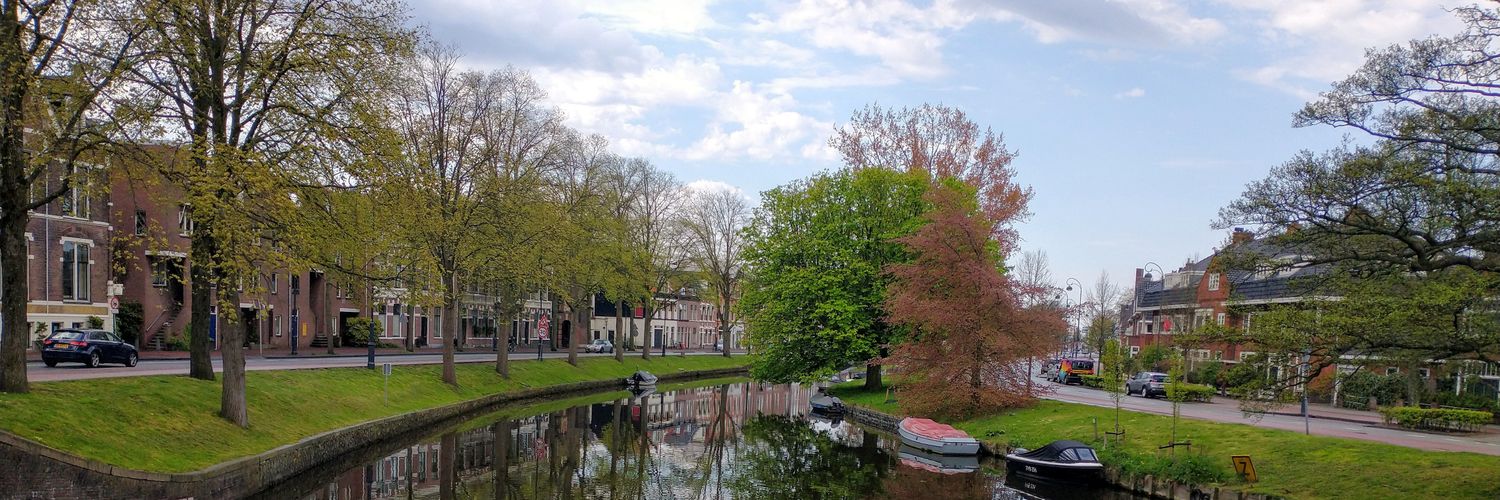 Lodewijk de Ruiter banner