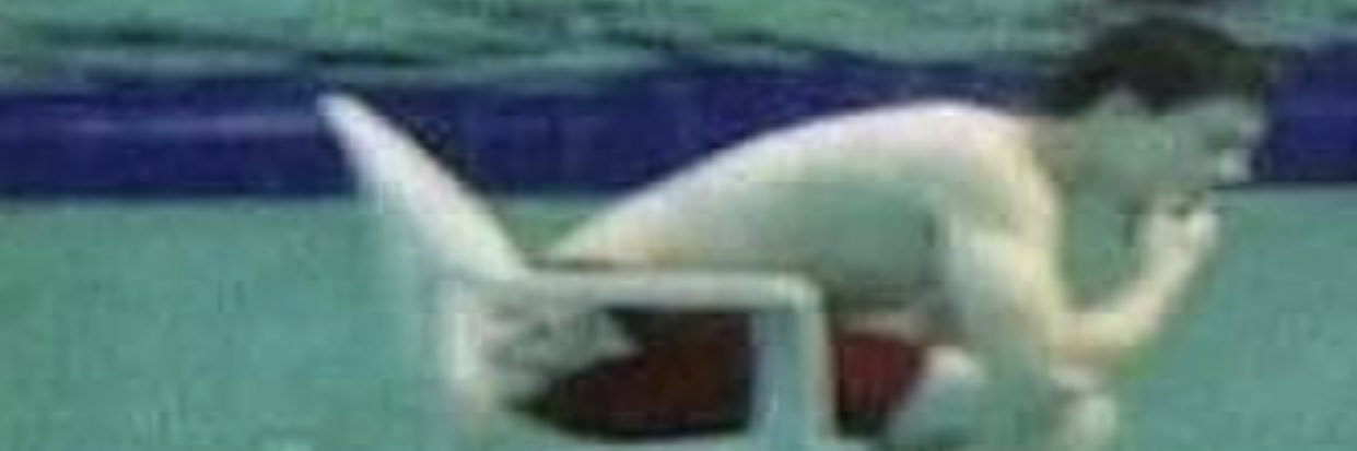 Torta_ore_ano's profile banner image