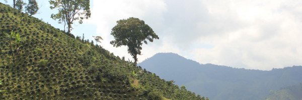 leighchalliday Profile Banner
