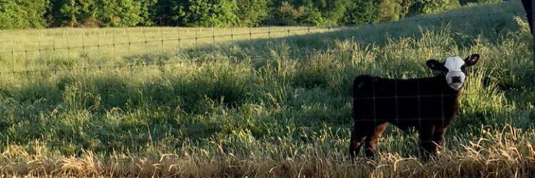 Sam_knight13's profile banner image