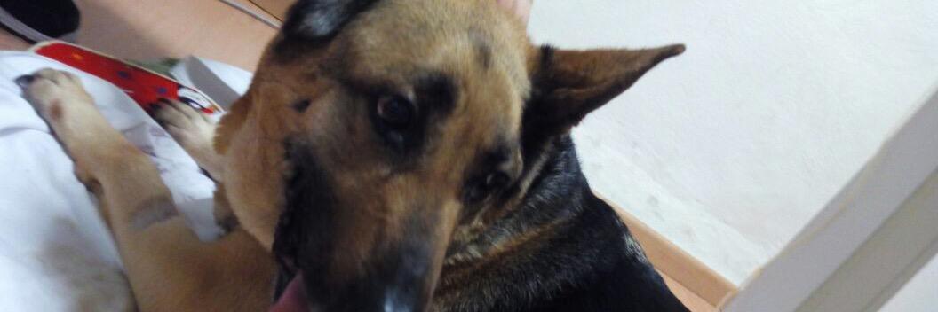 _BorjaFranco's profile banner image