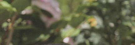 cadntiq's profile banner image