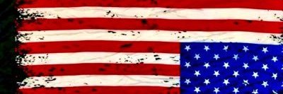 🌊 Vote Blue To Save America banner
