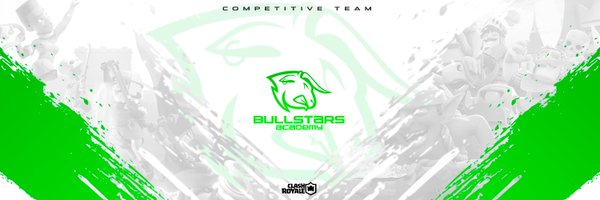 BullStars_Acd Profile Banner