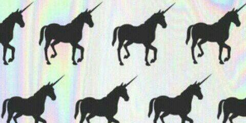 AlejandraGran1's profile banner image