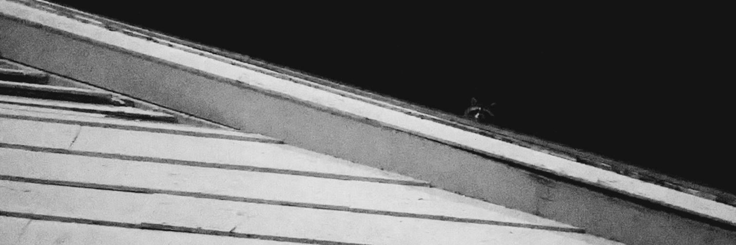 goovennn's profile banner image