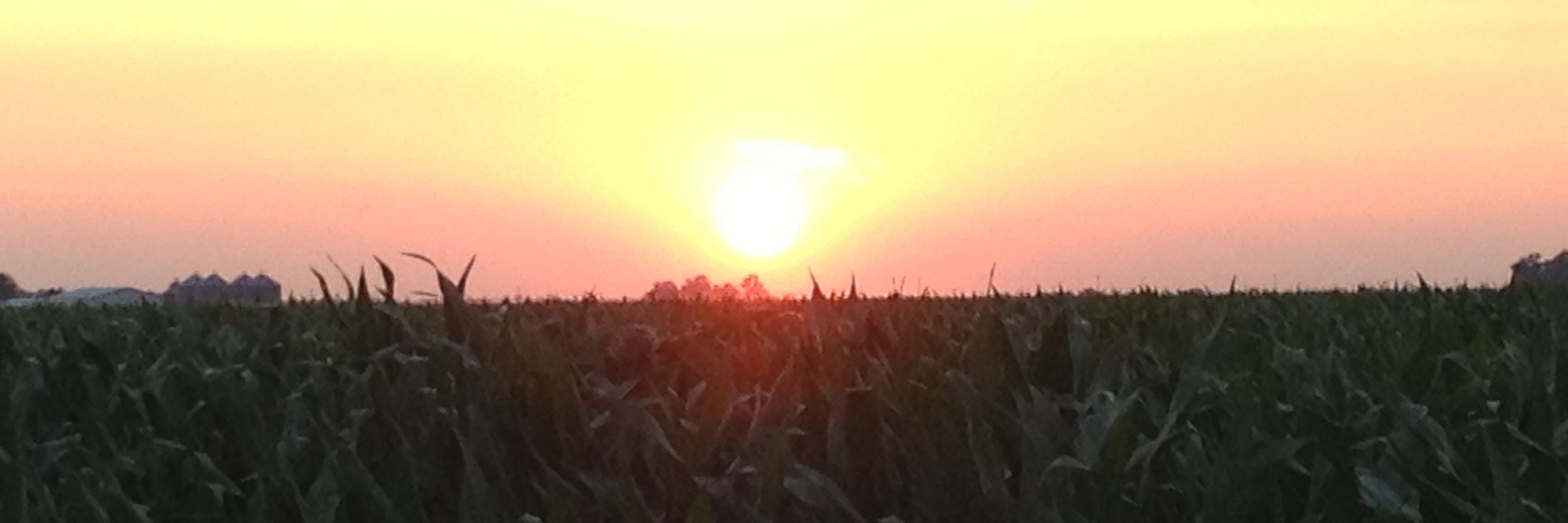 ScottTrausch's profile banner image