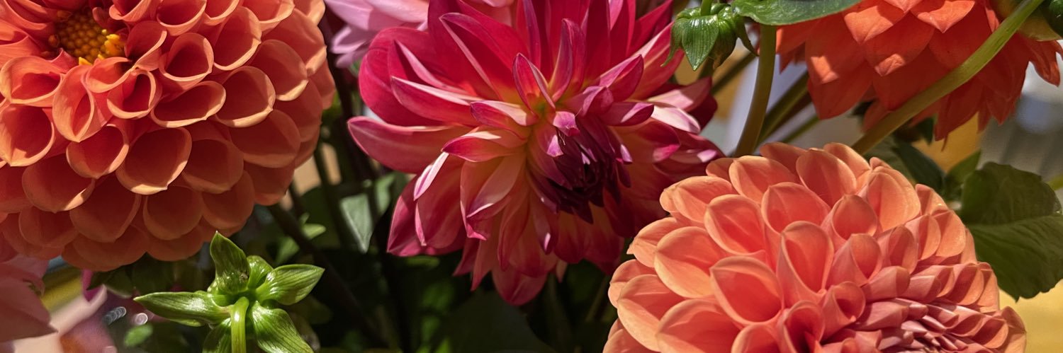 SAScallan's profile banner image