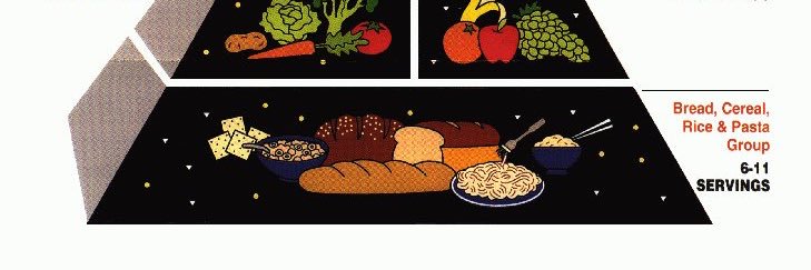 Generic Human Ryan banner