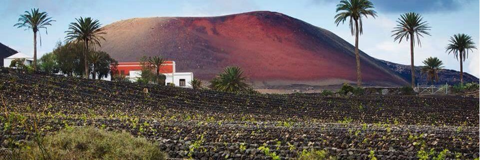 Felipe Morales banner