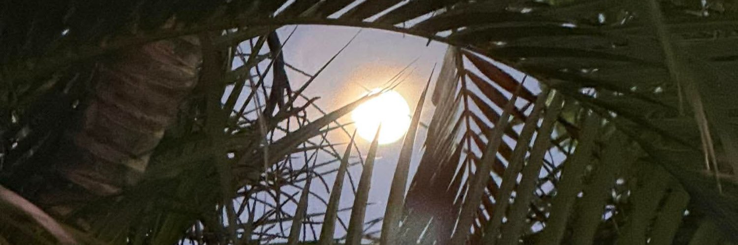 aivlys1965's profile banner image