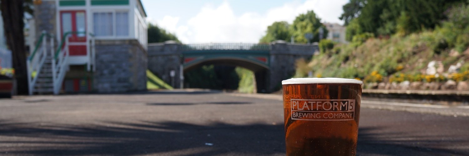 Sally Platform5 banner