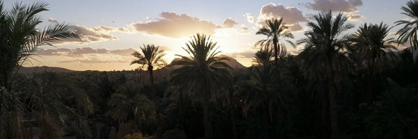 bob094 Profile Banner