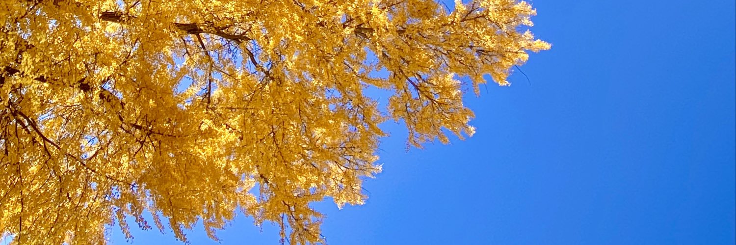 ab_stives's profile banner image