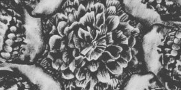 stephiedamno's profile banner image