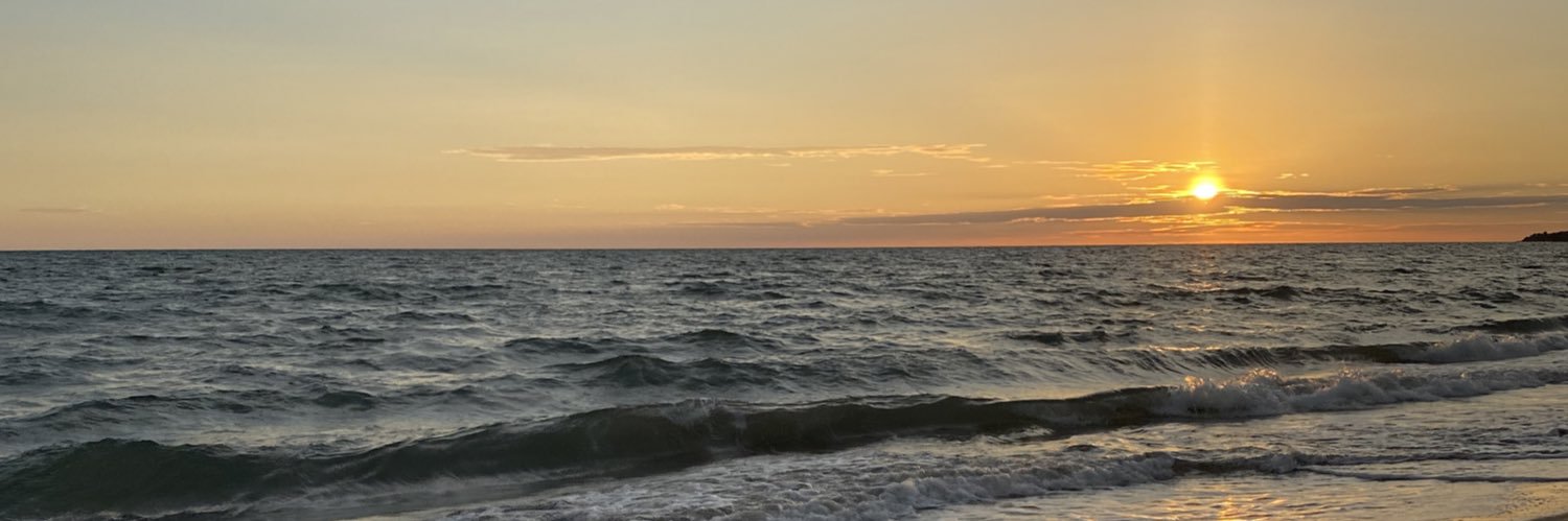 fdoleon's profile banner image
