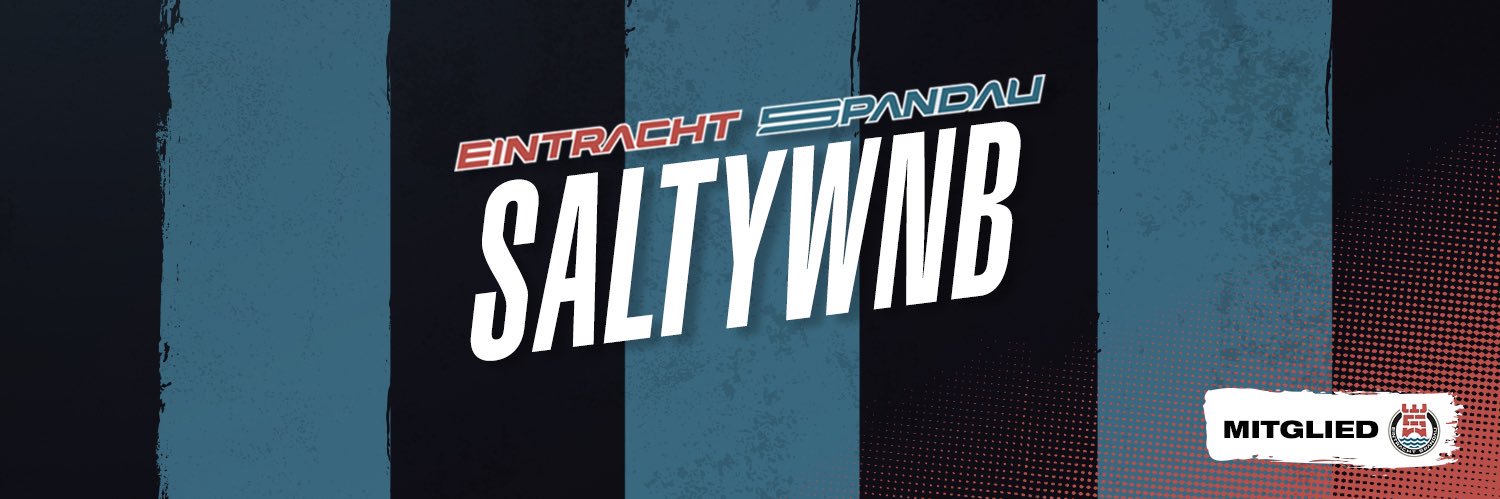 SaltyTheMidget's profile banner image