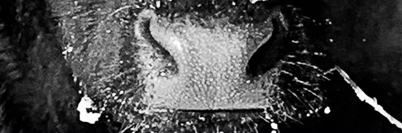 mckenziepaget's profile banner image