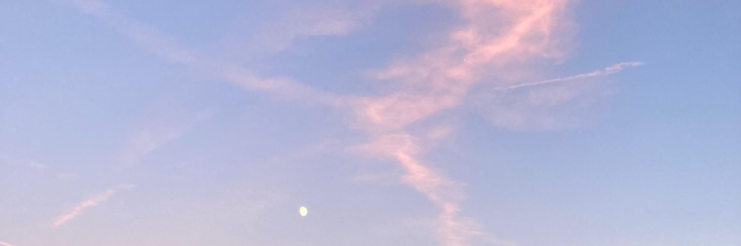 mireiaescardo's profile banner image