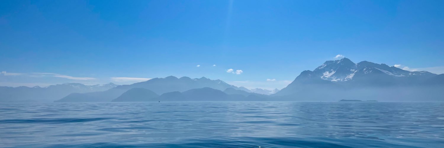 apiegza's profile banner image