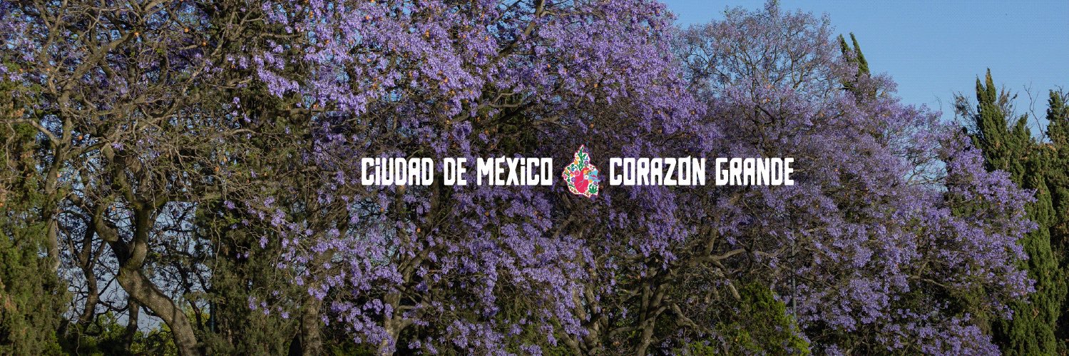 Fondo Mixto de Promoción Turística de la CDMX banner