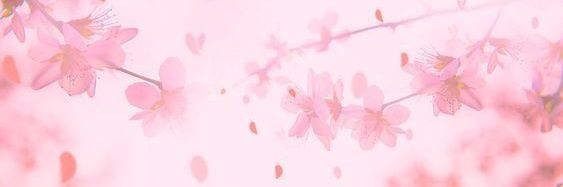 Mimi banner