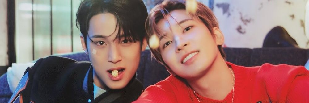 vane || gyuwon 🐈‍⬛ banner