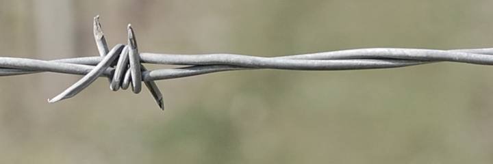 sin zlatnih prosjka banner