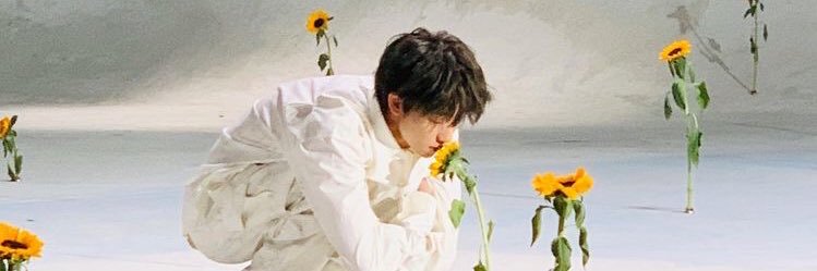 crafty lil pidge banner