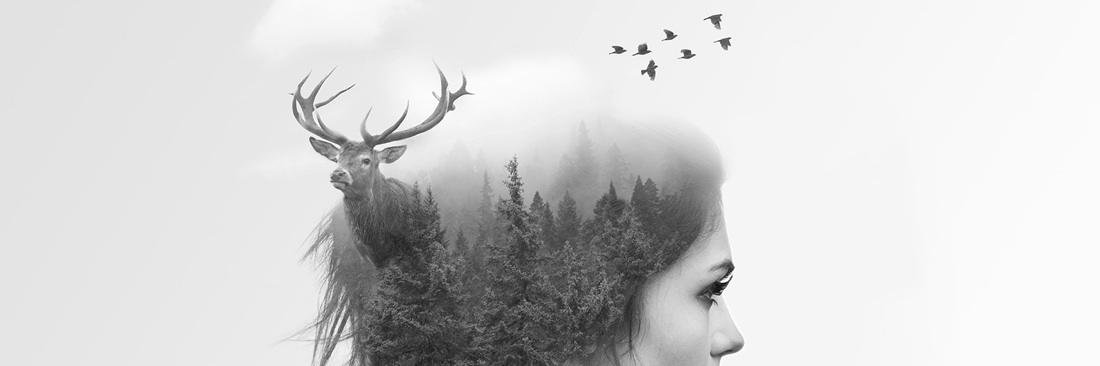 CamChrls's profile banner image