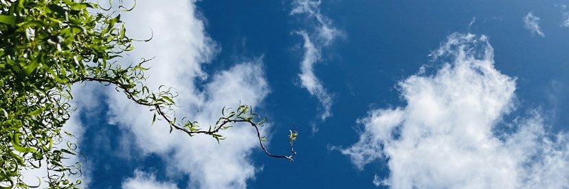 Delfi_Novoa1's profile banner image