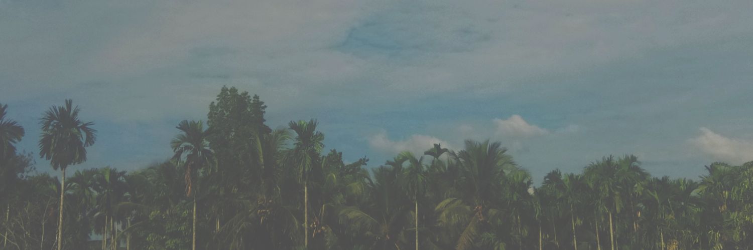 ayangs_ banner