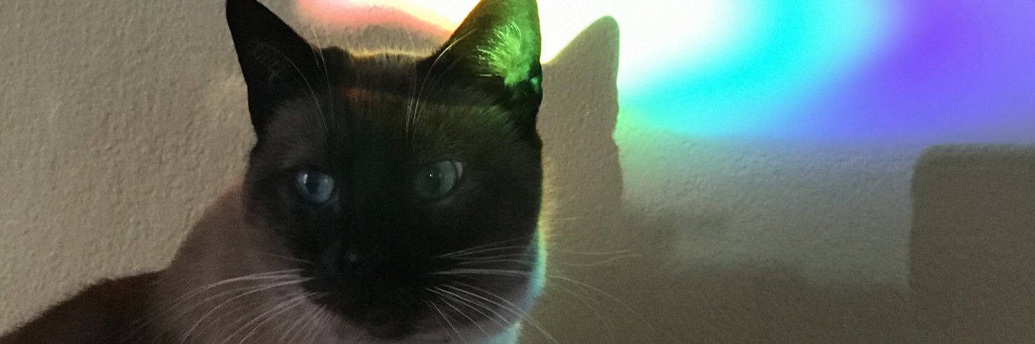 bmerino95's profile banner image