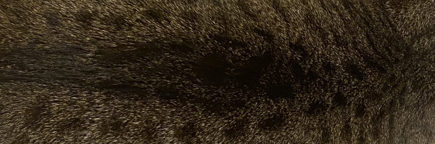Perrinash's profile banner image
