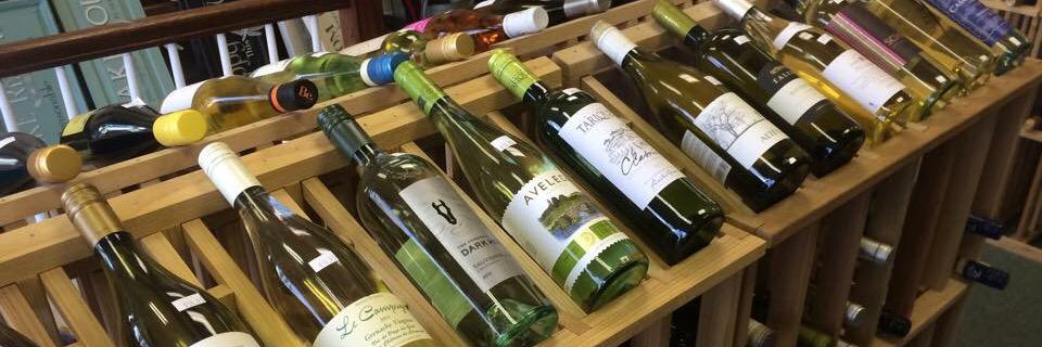 Dragonfly_Wine's profile banner image