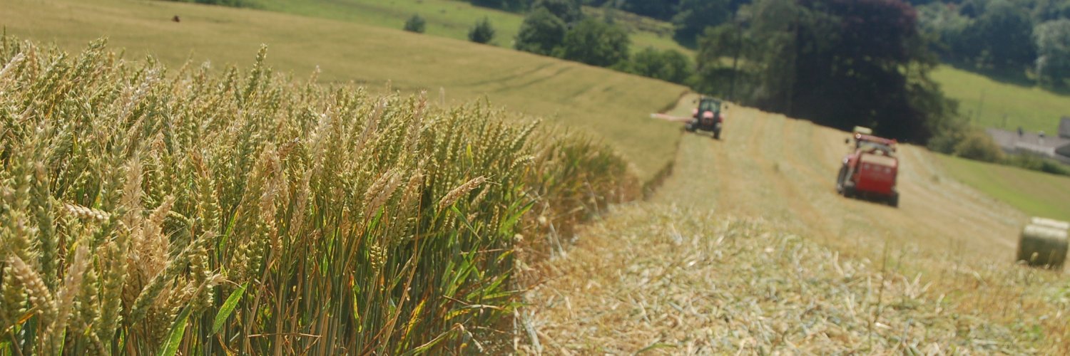 James Bretherton banner