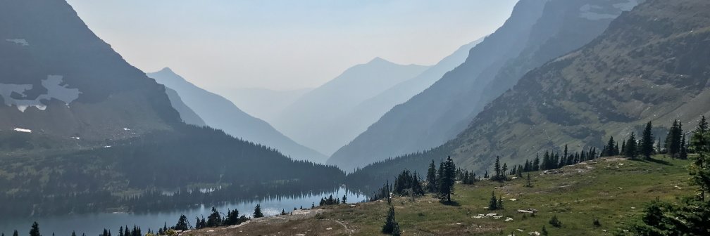 Rosenthal_DM's profile banner image