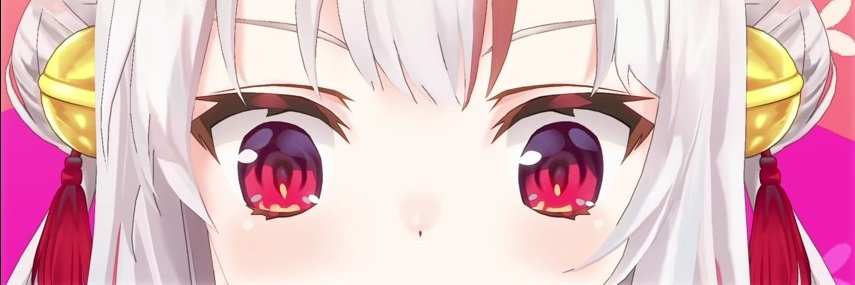 critonax's profile banner image