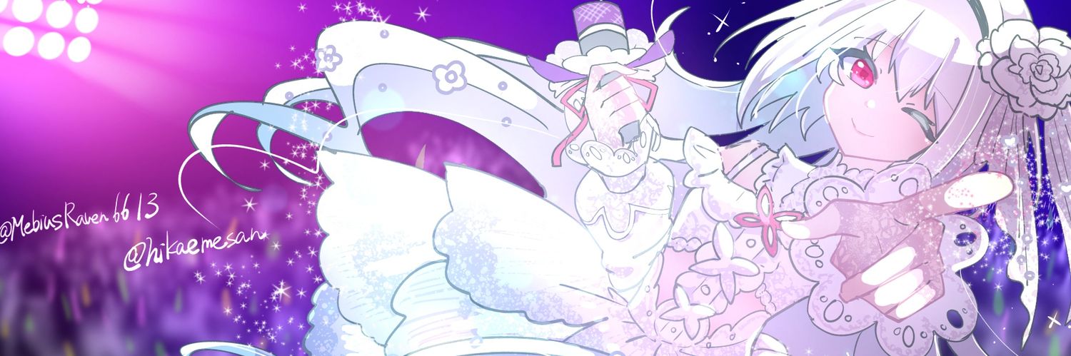 MebiusRaven6613's profile banner image