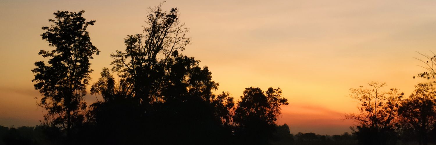 009563P's profile banner image