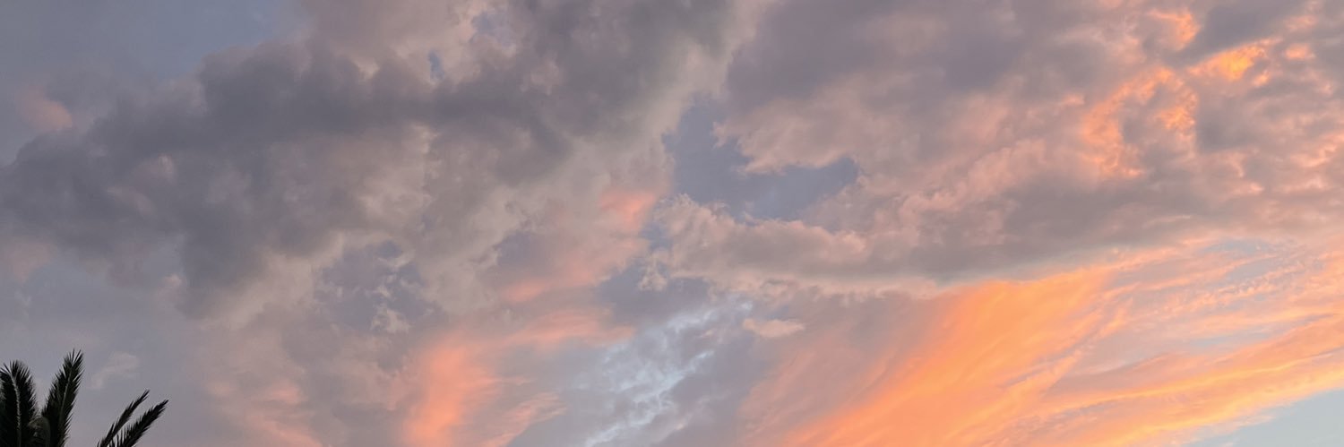 MisasNadia's profile banner image