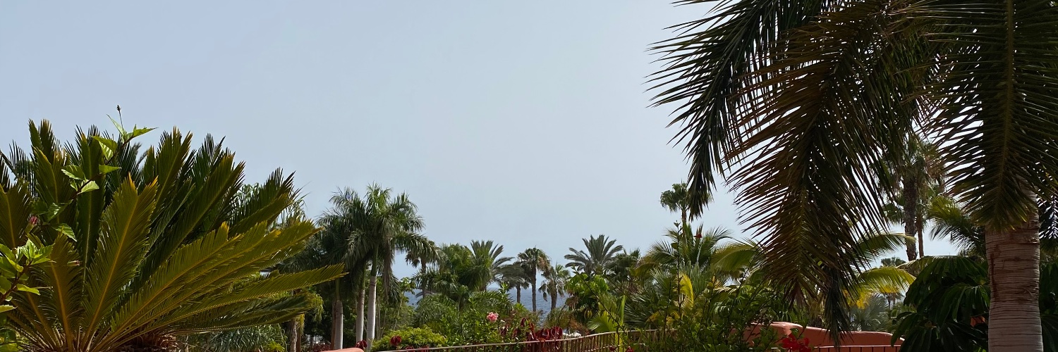 DeliaArteagaa's profile banner image