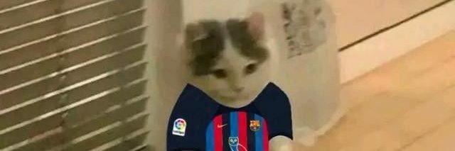 Bastián Gómez banner