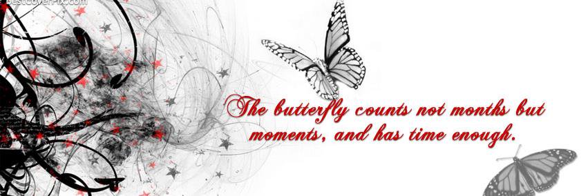 ToriannaBennett's profile banner image