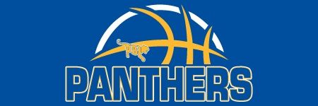 PBL Lady Panther Basketball banner