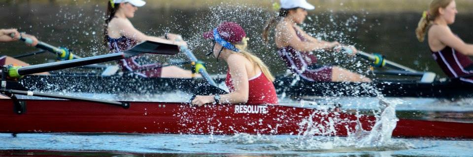 Christina P. Rossitto, MD banner