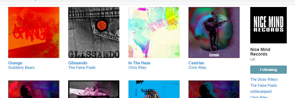 Nice Mind Records banner